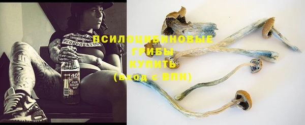 спиды Абдулино